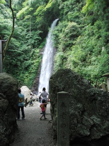 2010年07月19日 養老の滝