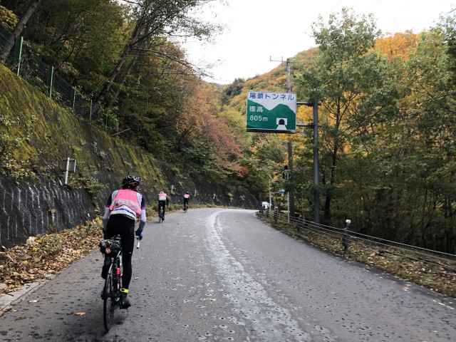 2019年10月26日 BRM1026 宇都宮300km 栃木路