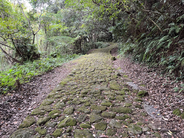 2023年10月14日 熊野古道 中辺路(新宮-那智)