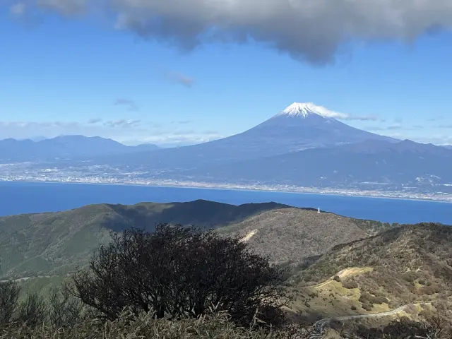 2023年12月22日 西伊豆 達磨山-金冠山