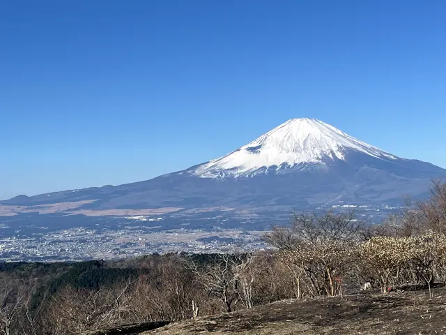 2024年01月06日 大雄山-矢倉岳-駿河小山